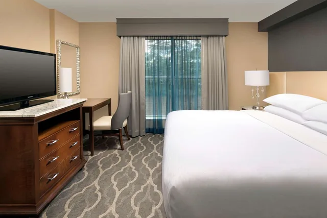 جناح بسرير كينج بغرفة نوم واحدة بحوض استحمام لذوي الإعاقة، Embassy Suites by Hilton Atlanta Airport 1/2