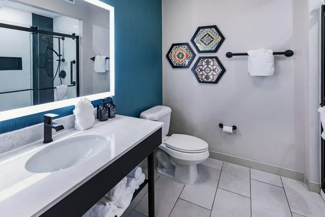 غرفة بسرير مزدوج بإطلالة على البحيرة، Hotel Indigo Spring - Woodlands Area 2/2