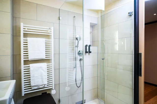 Room, King Bed, Hotel Seepark Thun 6/10