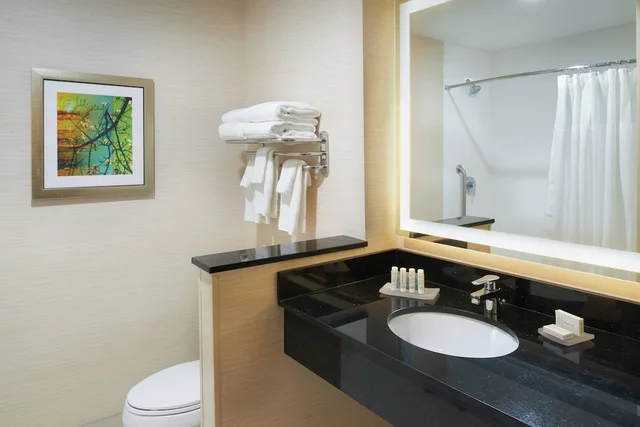 غرفة بسرير كينج لذوي الإعاقة، Fairfield Inn Suites Detroit Troy 3/4