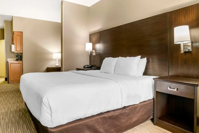 جناح بسرير كينج لذوي الإعاقة، Quality Inn & Suites Monroe 2/4