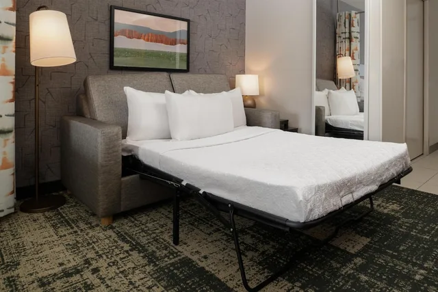 Studio, Suite, King Bed, Sofa, Home2 Suites By Hilton Denver/Highlands Ranch 1/10