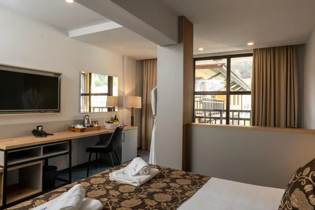 غرفة ديلوكس بسرير مزدوج أو سريرين منفصلين بشرفة بإطلالة، Velingrad Grand Hotel 5/10