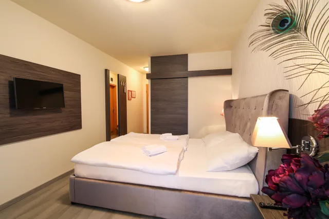 غرفة قياسية، Hotel Evropa Celje 3/4