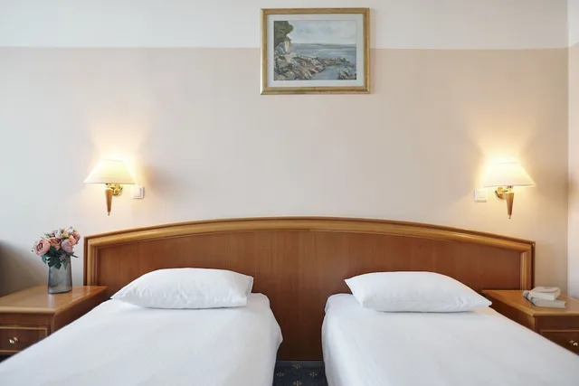 Standard, Double or Twin Bed, Street View، Hotel Lovran 5/10