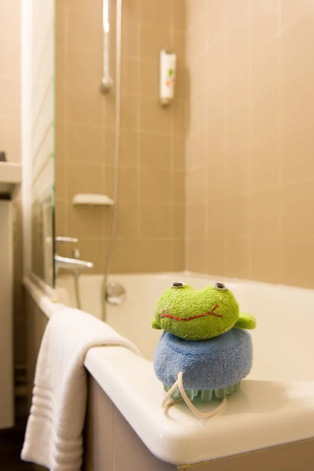 غرفة قياسية بسريرين منفصلين، ibis Styles Nantes Centre Place Royale 4/4