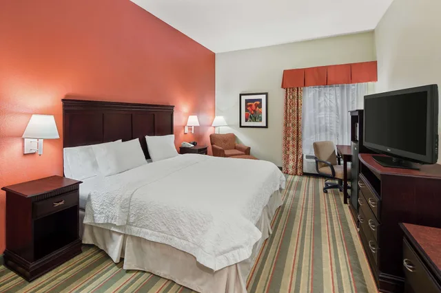 غرفة قياسية بسرير كينج لذوي الإعاقة، Hampton Inn Richmond-Sw Hull Street 2/5