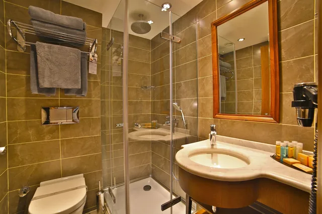 غرفة قياسية مفردة بسرير مزدوج، Adelmar Hotel Istanbul Sisli 4/4