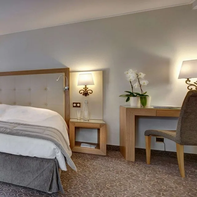 Superior, Twin Beds, Balcony, North Wing، Les Sources Des Alpes 2/3