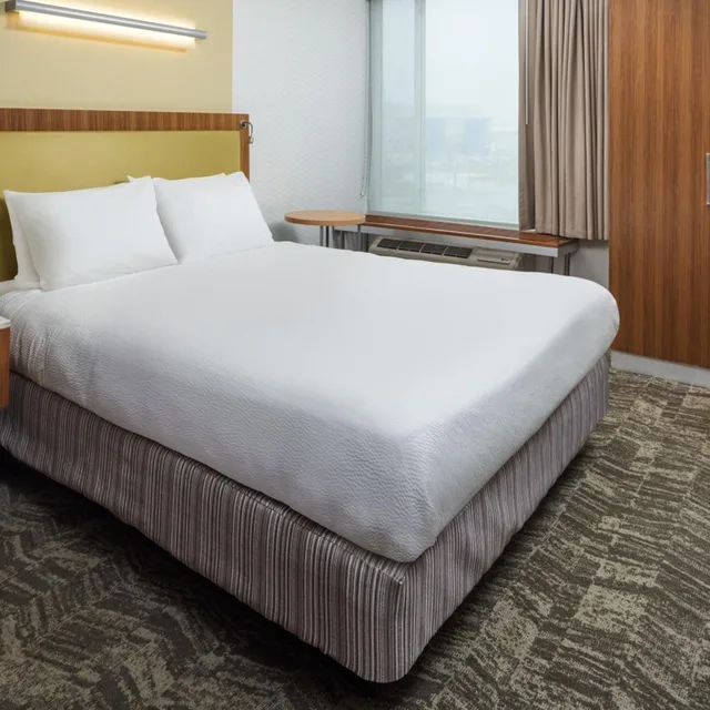 جناح بسرير كينج مع سرير سحّاب إضافي مع أريكة، SpringHill Suites Philadelphia Airport/Ridley Park 1/4
