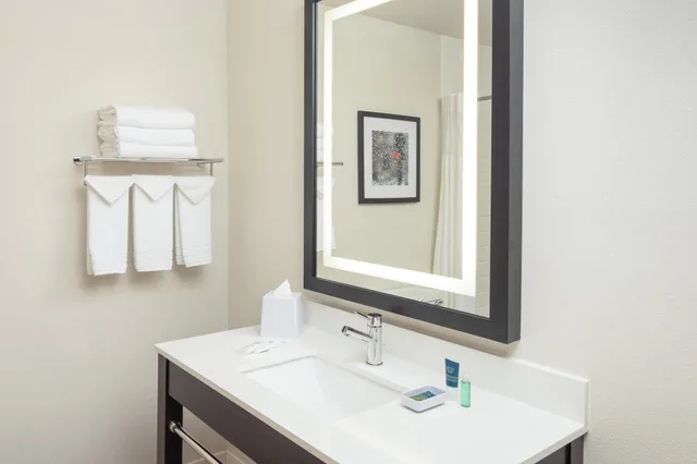 غرفة بسرير مزدوج لذوي الإعاقة، Four Points by Sheraton Chicago Schaumburg 4/7