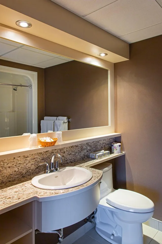 غرفة قياسية بسرير كينج، Hotel L Oiseliere Montmagny 8/8