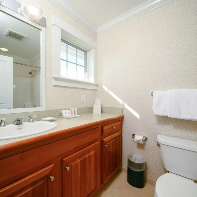 1 Bedroom, House، Stoweflake Mountain Resort Spa 5/10