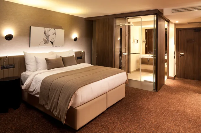 غرفة بزنس بسرير كوين، Kronwell Brasov Hotel 5/10