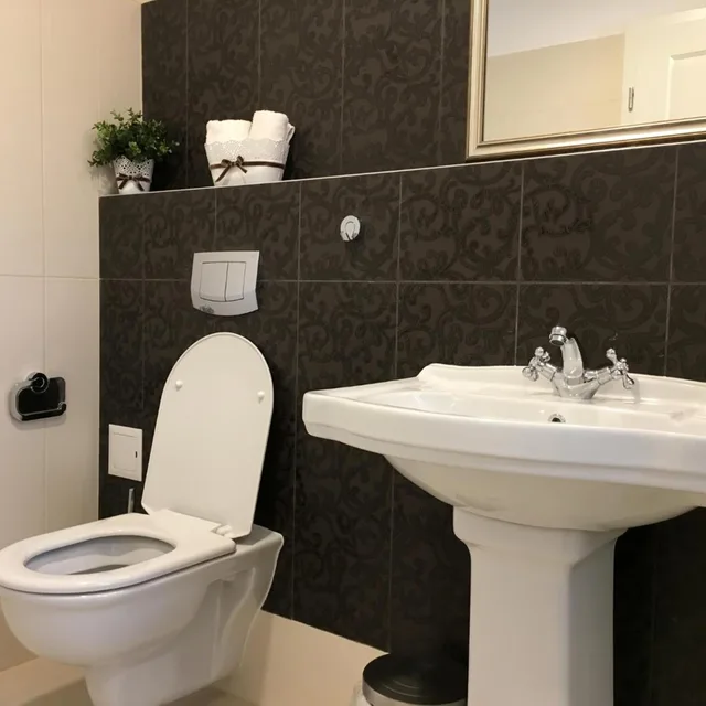 غرفة ديلوكس بسرير مزدوج، Family Hotel Agoncev 8/10