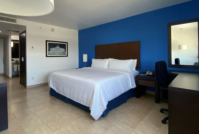 Standard, Single Bed, Holiday Inn Express Merida 1/6