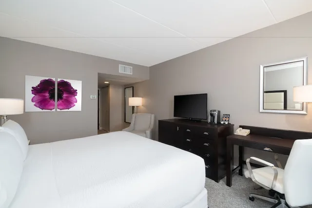 غرفة قياسية بسرير مزدوج لذوي الإعاقة، Holiday Inn Wilmington 3/3