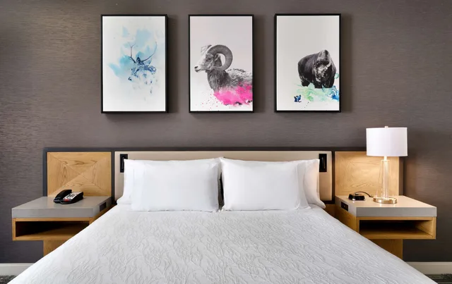 Evolution, King Bed، Hilton Garden Inn Bozeman 2/4