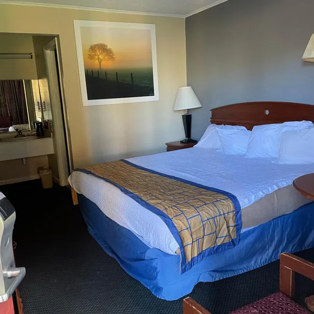 غرفة بسرير كينج لذوي الإعاقة، MAGNUSON HOTEL OPELIKA 3/6