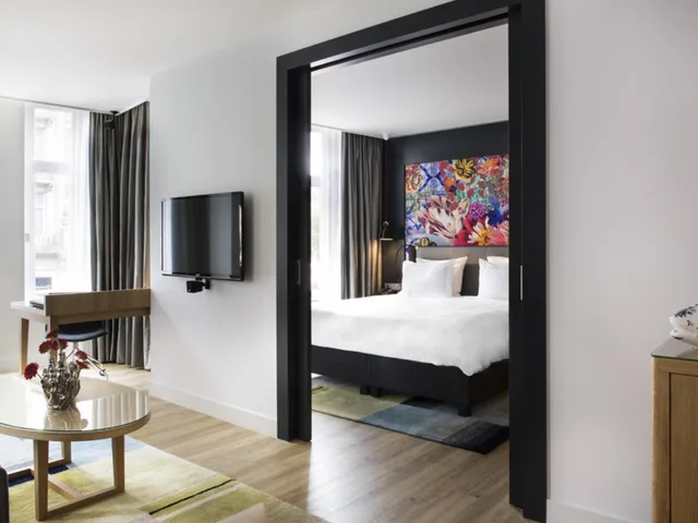 جناح سيغنتشر بسرير كينج بإطلالة على المدينة، Swissotel Amsterdam 3/6
