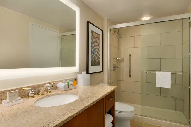 استوديو سوبيريور بسريرين مزدوجين في طابق مرتفع، Hilton Chicago Magnificent Mile Suites 2/2