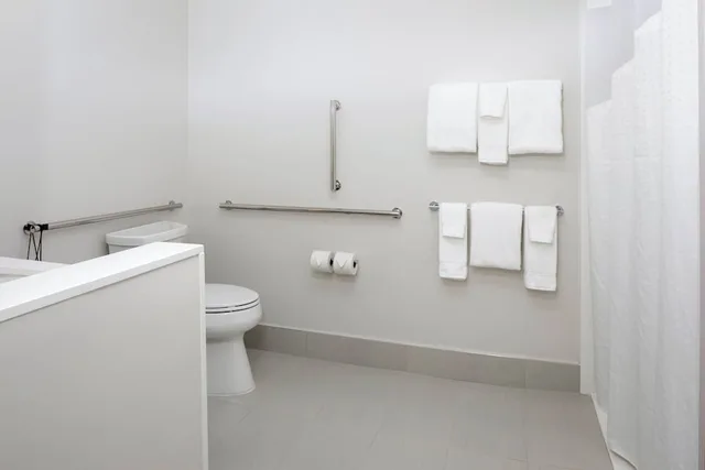 جناح بسرير كينج لذوي الإعاقة، Holiday Inn Express Suites Bourbonnais East Bradley 1/1