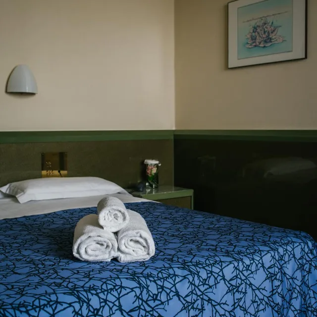 غرفة اقتصادية بسرير مزدوج، Hotel Royal 1/7