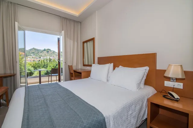 غرفة مفردة، Palmyra Hotel 1/10