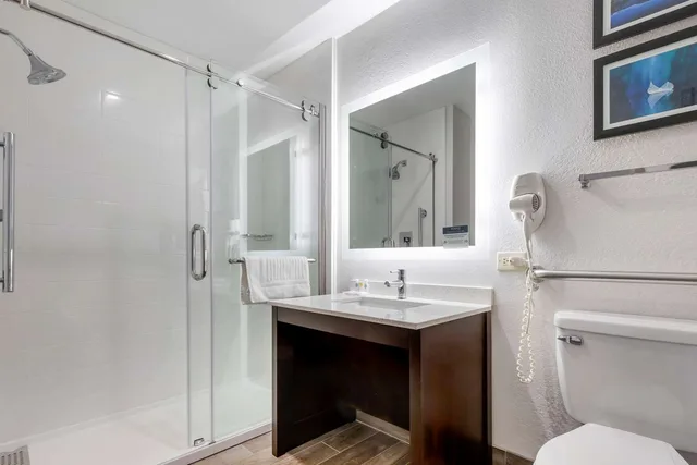 غرفة بسرير كوين لذوي الإعاقة، Comfort Inn & Suites Greer - Greenville 3/3