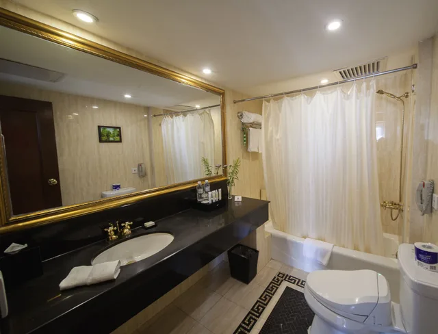 جناح بريميير بسرير مزدوج، Park Hotel Shanghai 2/2