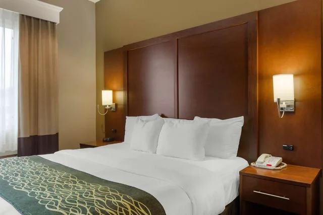 جناح بسرير كينج، Comfort Inn and Suites Amarillo 1/2