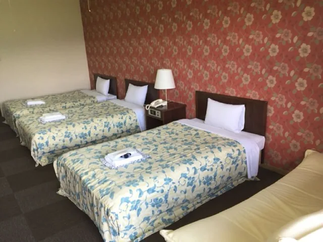 Semi Room, Standard, Twin Beds, Smoking، Harazuru Grand Sky Hotel 3/5