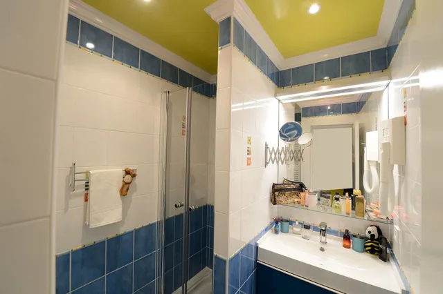 Livingstone, Studio, Suite, Double Bed, Sofa، Les Patios Du Marais 1/1