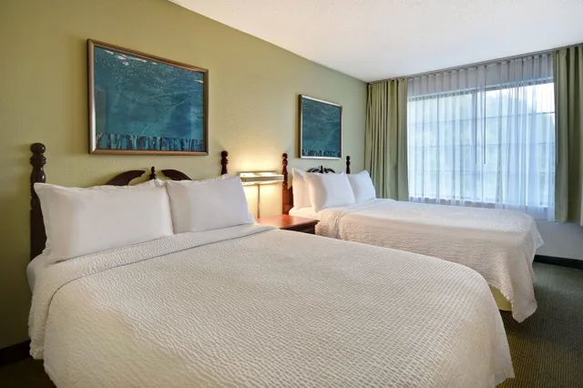 Pure, Suite, 2 Queen Beds, Sofa، Springhill Suites Atlanta Buford Mall of Georgia 2/10