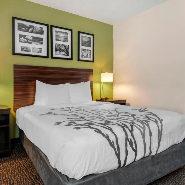 غرفة ديلوكس بسرير كوين، Sleep Inn Naperville - Chicago 4/10