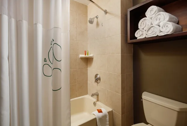 Kids Suite، Great Wolf Lodge Grapevine 5/6