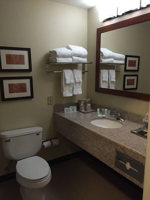جناح بسرير كينج مع أريكة، Comfort Suites Victorville-Hesperia 3/3