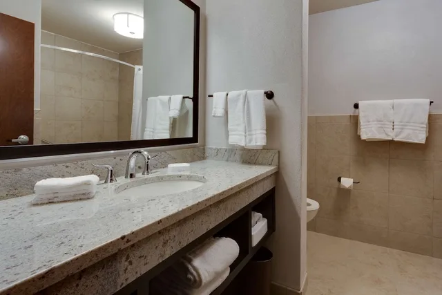 غرفة بسرير كينج، Drury Plaza Hotel Cape Girardeau Conference Center 3/3