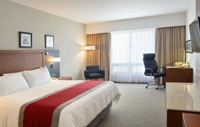 Business, King Bed, Sheraton Leon 1/4