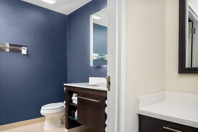 جناح بسرير كينج بغرفة نوم واحدة مع أريكة لذوي الإعاقة، Residence Inn by Marriott Decatur Emory Area 3/4
