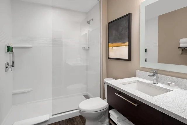 استوديو بسرير كينج بإطلالة على المدينة مع أريكة، TownePlace Suites by Marriott Twin Falls 3/6