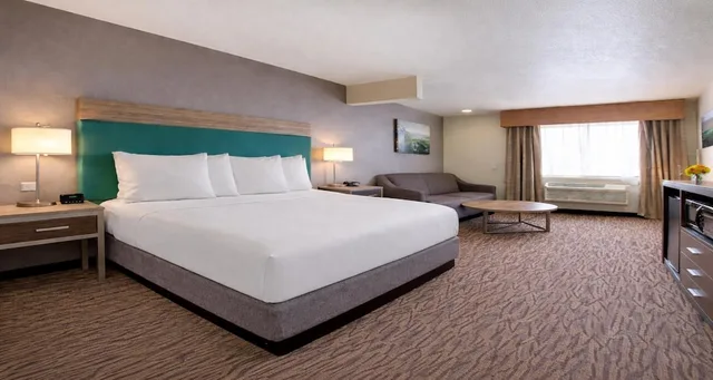 Standard, King Bed, Sofa, Best Western Plus Peppertree Airport Inn 1/1