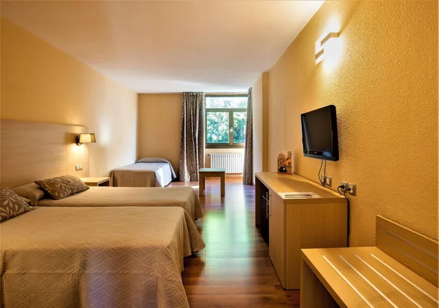 غرفة قياسية مفردة بسرير مزدوج، Panorama Hotel 2/9