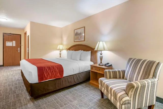غرفة بسرير كينج يُسمح فيها بالحيوانات الأليفة، SureStay Plus Hotel by Best Western Buffalo 1/3