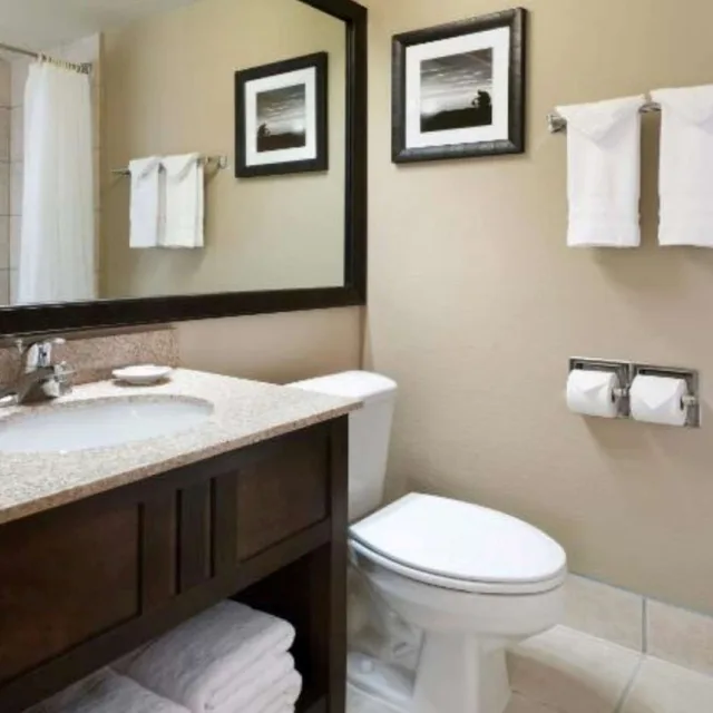 غرفة بزنس بسرير كينج، Best Western Ramkota Hotel 3/4