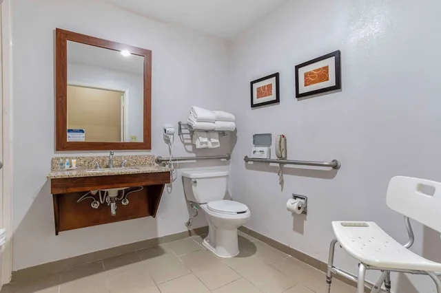 جناح بسرير كينج مع أريكة لذوي الإعاقة، Comfort Suites Houston NW - Vintage Park 5/7