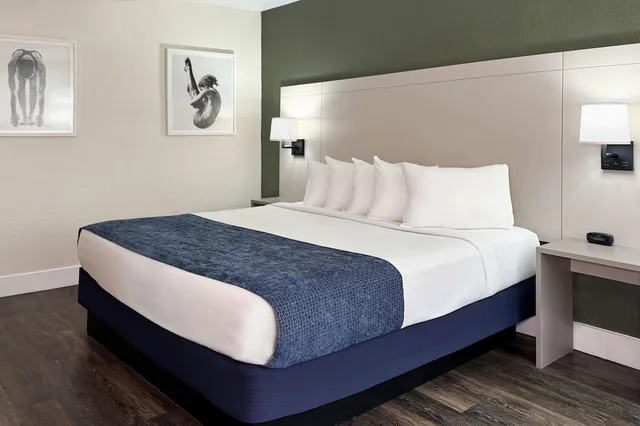 Garden, King Bed، Wyndham I-Drive Avanti Resort & Conference Center 2/10