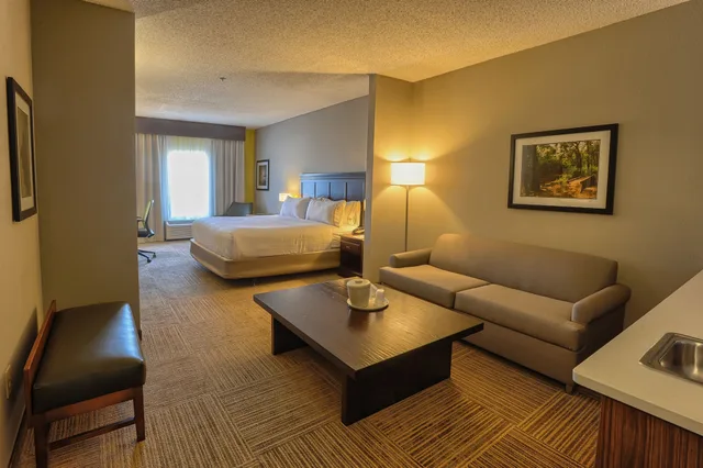جناح بسرير كينج، Holiday Inn Express Hotel Suites Pell City 1/4