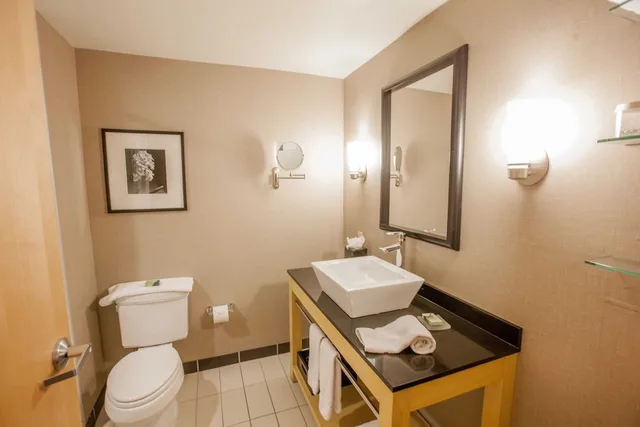 جناح بسرير كينج لذوي الإعاقة، Wyndham Noblesville 6/7