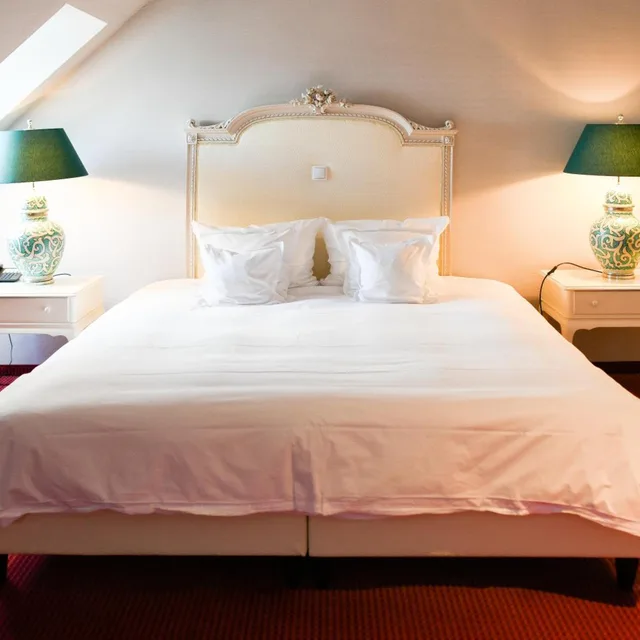 استوديو ديلوكس، Hotel Bamberger Hof Bellevue 5/20